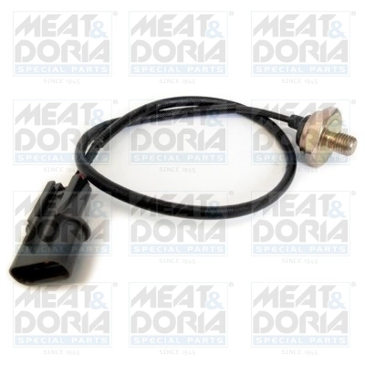 Knock Sensor